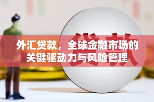 邹城外汇贷款，全球金融市场的关键驱动力与风险管理