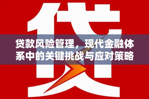 邹城贷款风险管理，现代金融体系中的关键挑战与应对策略