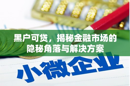 邹城黑户可贷，揭秘金融市场的隐秘角落与解决方案