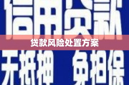 邹城贷款风险处置方案
