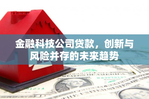 邹城金融科技公司贷款，创新与风险并存的未来趋势