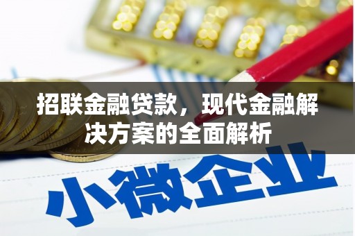 邹城招联金融贷款，现代金融解决方案的全面解析