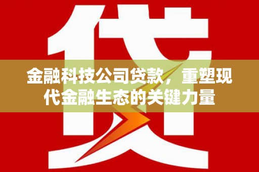 邹城金融科技公司贷款，重塑现代金融生态的关键力量