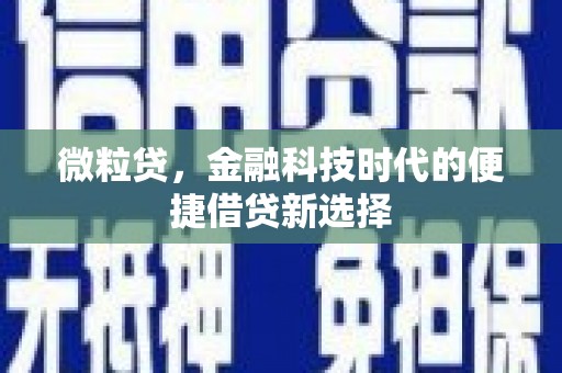 邹城微粒贷，金融科技时代的便捷借贷新选择