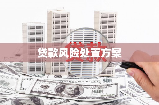 邹城贷款风险处置方案
